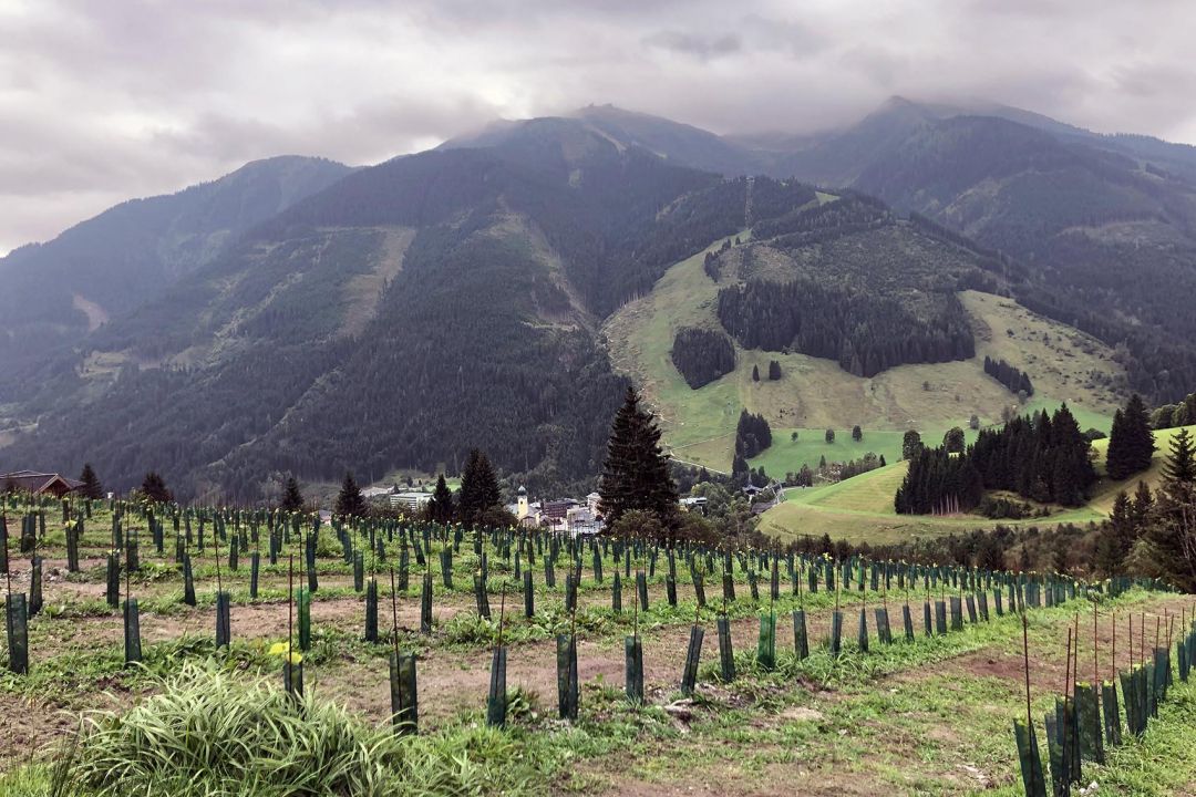 Alpenwinzerei (c) Saalbach Hinterglemm